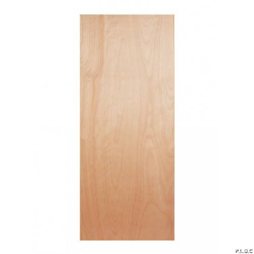Plywood Single Leaf Door